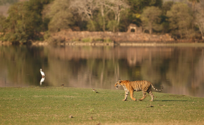 bardiya national park