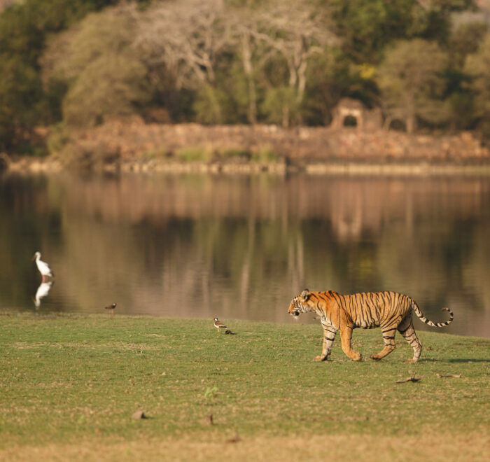 bardiya national park