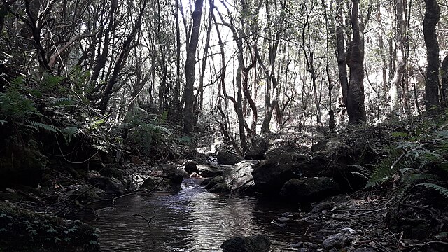 shivapuri hiking